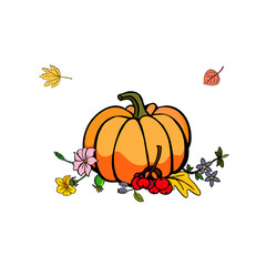 Autumn mood with pumpkin berries and flowers on white card