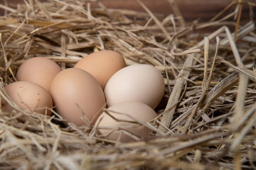 easter basket with easter eggs on straw background
