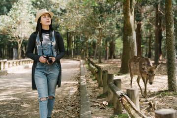 asian female traveler holding camera is taking a stroll in the woods with a free-roaming wild...