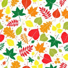 Obraz premium Cute autumn seamless pattern and background. Autumn bright leaves, different types of trees.