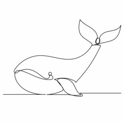 continuous line drawing whale sketch, vector