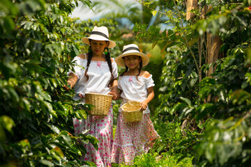 mom and daughter picking up coffee beans in a coffee plantation