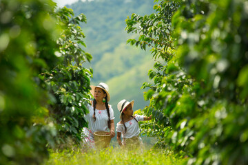 mom and daughter picking up coffee beans in a coffee plantation