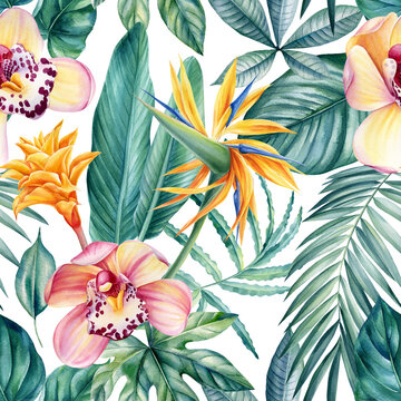 Seamless pattern of tropical leaves, orchid flowers and strelitzia, jungle background, watercolor painting