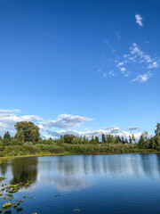 Larsen Lake Blueberry Farm