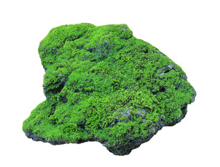 Rock covered in green moss isolated on white background