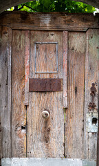 rustic old wooden door, covered in foliage