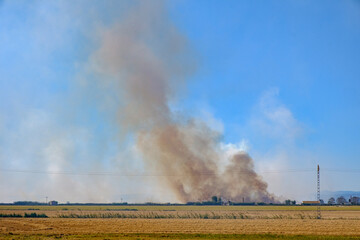 Burning rice stubble straw, pollution environmental problem, smog clouds in Albufera de Valencia, Spain