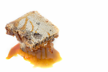 fresh honeycomb on a white background