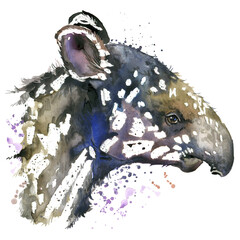 Tapir cub watercolor illustration. African animals. Wild nature - obrazy, fototapety, plakaty