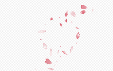 Color Apple Vector Transparent Background. Floral