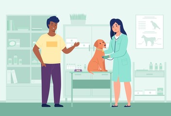 Vet doctor appointment. Nurse examines dog in veterinary office, woman listen pet with stethoscope, medical treatment, animal health care. Doctor with patient. Vector cartoon concept