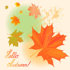 Fototapeta premium Vector illustration for banner or postcard. Hello, Autumn. Autumn leaves on a light background.
