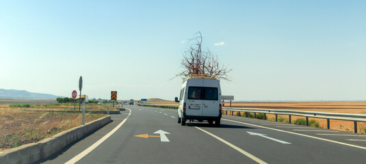 tree transported to its new home on the van on the highway