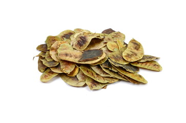 Senna pods or Cassia acutifolia isolated on white background.