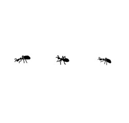 あり　昆虫　three ants アリンコ