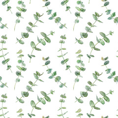 Watercolor seamless pattern with branches of eucalyptus isolated on white background.