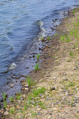 A river wave runs over the rocky shore on a summer day