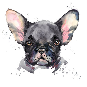 Cute French Bulldog Breed of dog watercolor illustration 