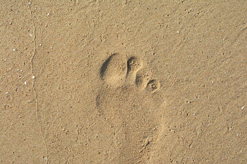 Fototapeta na wymiar Texture background Footprints of human feet on the sand near the water on the beach.