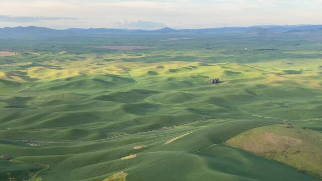 View of the rolling green wheat fields of the Palouse at sunrise from Steptoe Butte