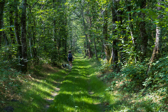girl and her dog on a path into the forest of Sologne, France