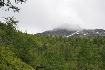 Wanderung auf den Zunig bei Matrei in Osttirol