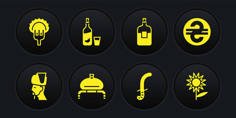 Set Ukrainian cossack, hryvnia, Bread and salt, Medieval sword, Bottle of vodka, Vodka with pepper glass, Sunflower and Dumplings on fork icon. Vector