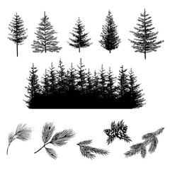 Set of forest trees. Realistic silhouettes of сonifer trees and branches with cones. Vector illustration