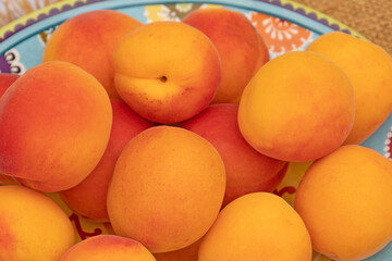 plusieurs abricots dans un plat