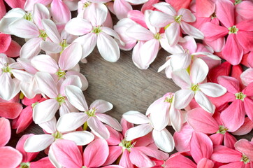 Beautiful spring flowers on brown wood background. Space for text.