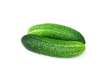 Two fresh prickly cucumbers isolated on white background. Green vitamin vegetables.