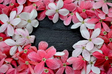 Beautiful spring flowers on black wood background. Space for text.