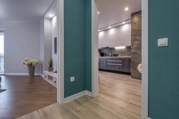 empty corridor in interior of entrance hall of modern apartments  overlooking the kitchen and bedroom