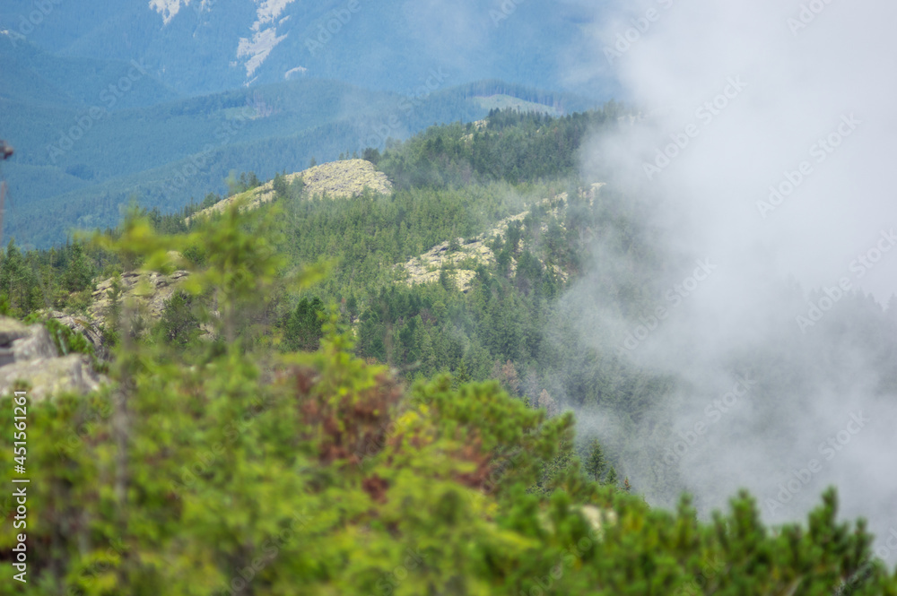 Canvas Prints fog over the forest of the carpathian mountains in summer