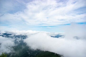 Fog over the forest of the Carpathian mountains in summer
