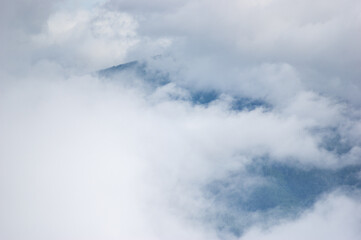 Forest in the fog on a summer morning in the mountains