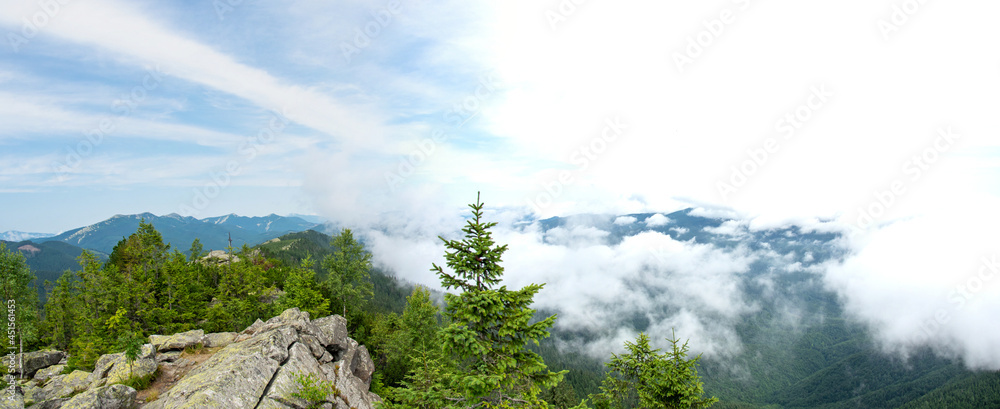 Canvas Prints fog over the forest of the carpathian mountains in summer