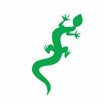 Green Lizard Isolated on White Background. Silhouette Logo Template of Salamander Gecko. Vector illustration.