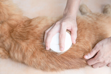 Hand a man and white Coffee mug coffee bean book a pen on the wood table in dark background