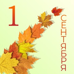Background for the presentation. Autumn leaves on September 1. Abstract vector illustration of autumn leaves with the text of September 1 on a light background.