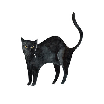 Watercolor black cat isolated on white background. Halloween. Hand drawn.