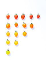 Evolution of groups of tomatoes from raw green to mature red