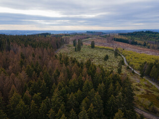 Luftaufnahme vom Waldsterben im Sauerland/ Westerwald