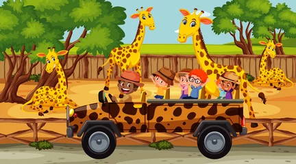 Foto op Canvas Safari scene with many giraffes in a cage car © brgfx