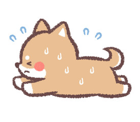 熱中症の柴犬