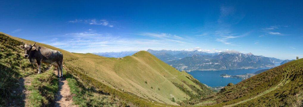 Landscape of Lake Como from Tremezzo mountain
