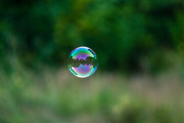 soap bubbles against green background