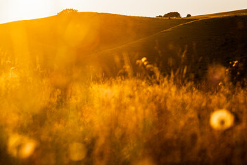 moody sunset over the field and hills in south sweden
