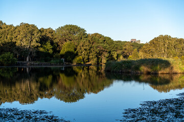 autumn lake reflections in the park at sunset